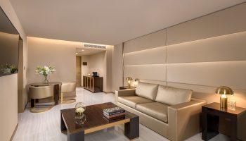 PRESTIGE-SWIM-UP-SUITE-4